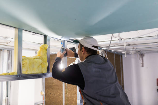 Best Geographic-Specific Insulation Services in Van Alstyne, TX