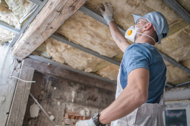 Trusted Van Alstyne, TX Insulation Contractor Experts