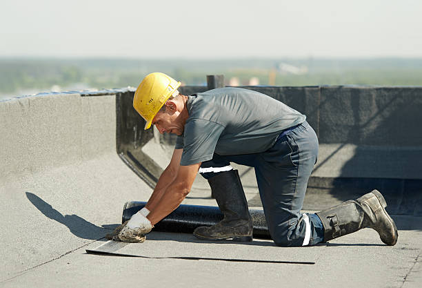 Best Specialized Insulation Services in Van Alstyne, TX