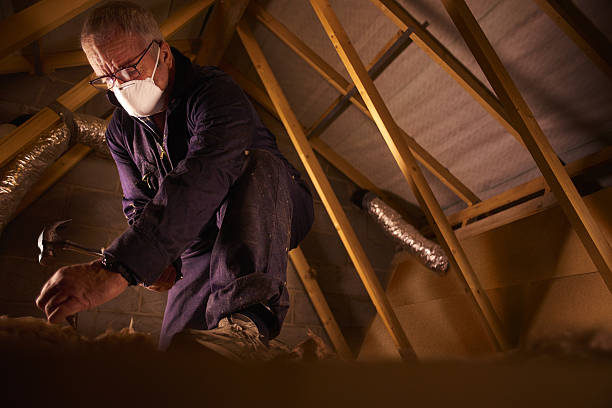 Best Spray Foam Insulation in Van Alstyne, TX